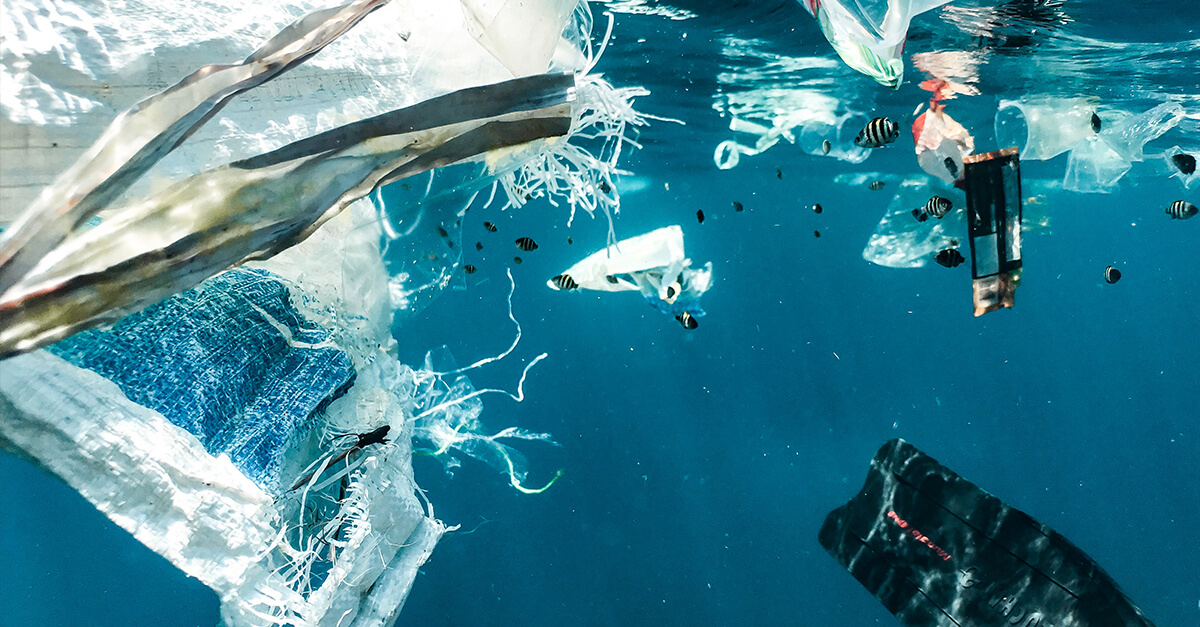 cover afvalwetgeving